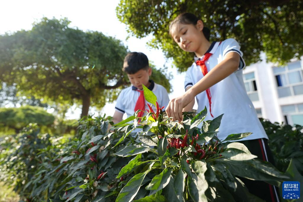 网上金沙